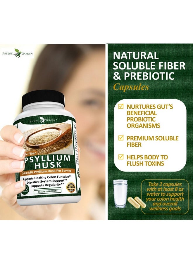 Potent Garden - Psyllium Husk Capsules All Natural & Powerful Soluble Dietary Fiber Supplement Helps Support Regularity & Digestion 240 Caps - Image 1