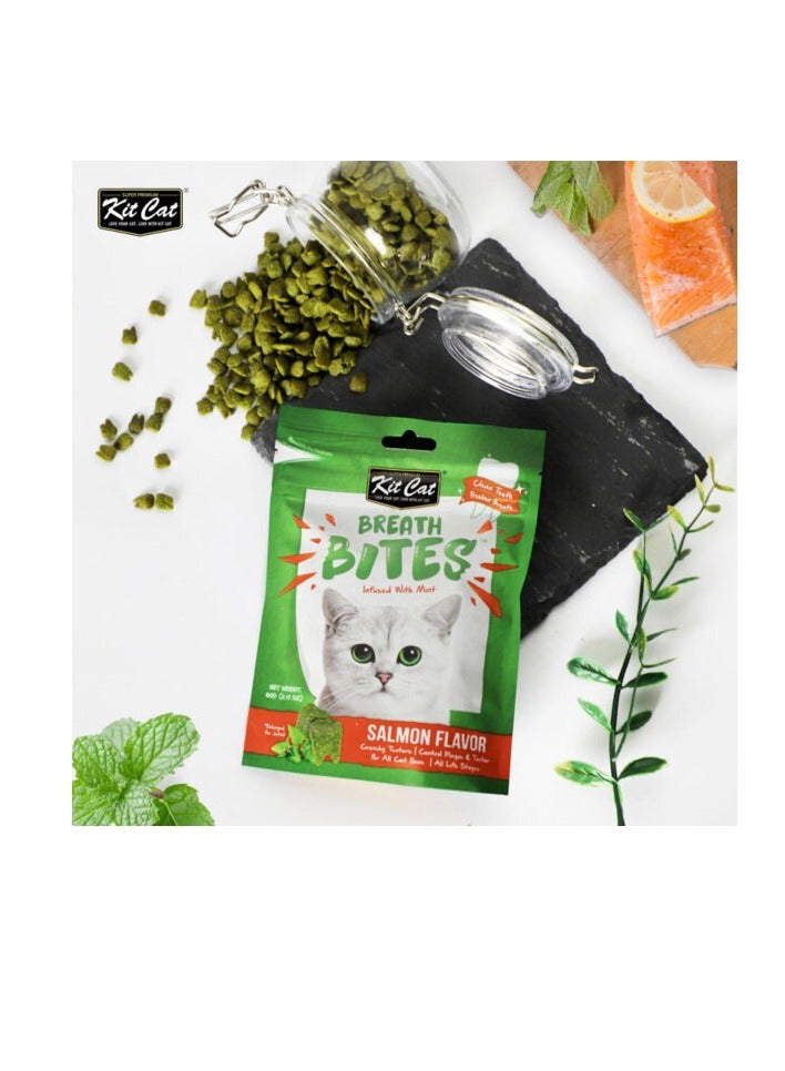 كيت كات قطعتان من Breath Bites بنكهة السلمون 2x60 جرام - Image 2