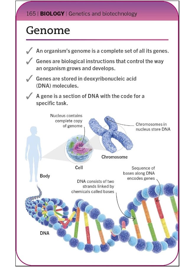 null - DK Super Simple Biology Revision Cards Key Stages 3 and 4: 125 Comprehensive, Easy-to-Use Revision Cards for GCSE Exam Preparation - Image 1