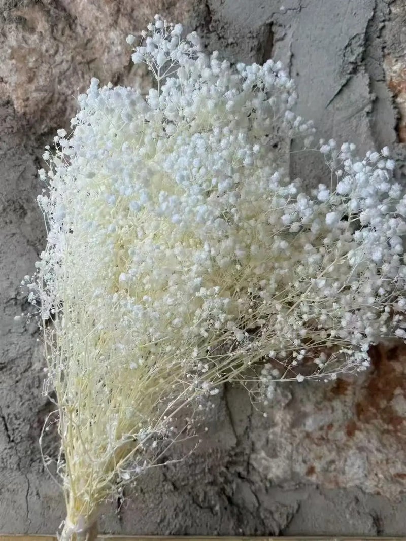 Bluejw New Preserved Baby's Breath Dried Gypsophila Flowers – Natural Dream Star for Wedding Bouquets, Long-Lasting Dried Plants Decor - Image 1