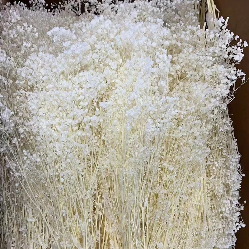 Bluejw New Preserved Baby's Breath Dried Gypsophila Flowers – Natural Dream Star for Wedding Bouquets, Long-Lasting Dried Plants Decor - Image 4