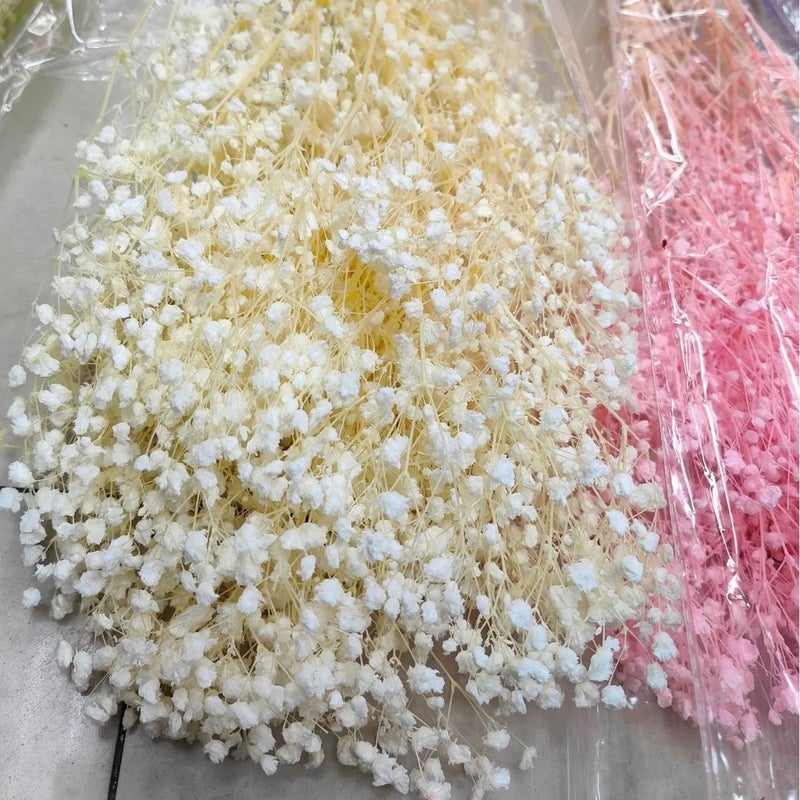 Bluejw New Preserved Baby's Breath Dried Gypsophila Flowers – Natural Dream Star for Wedding Bouquets, Long-Lasting Dried Plants Decor - Image 2