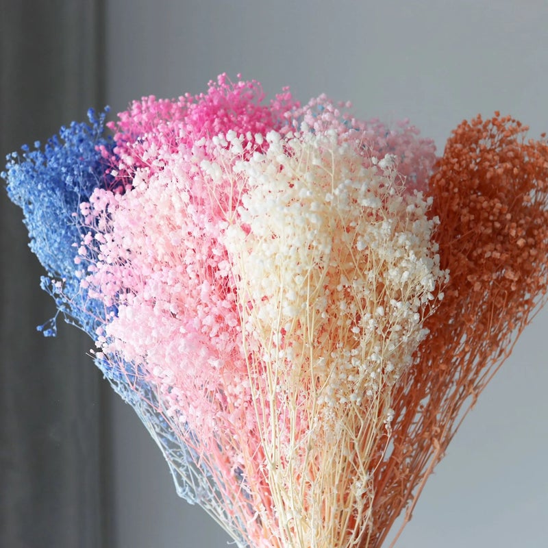 Bluejw New Preserved Baby's Breath Dried Gypsophila Flowers – Natural Dream Star for Wedding Bouquets, Long-Lasting Dried Plants Decor - Image 3