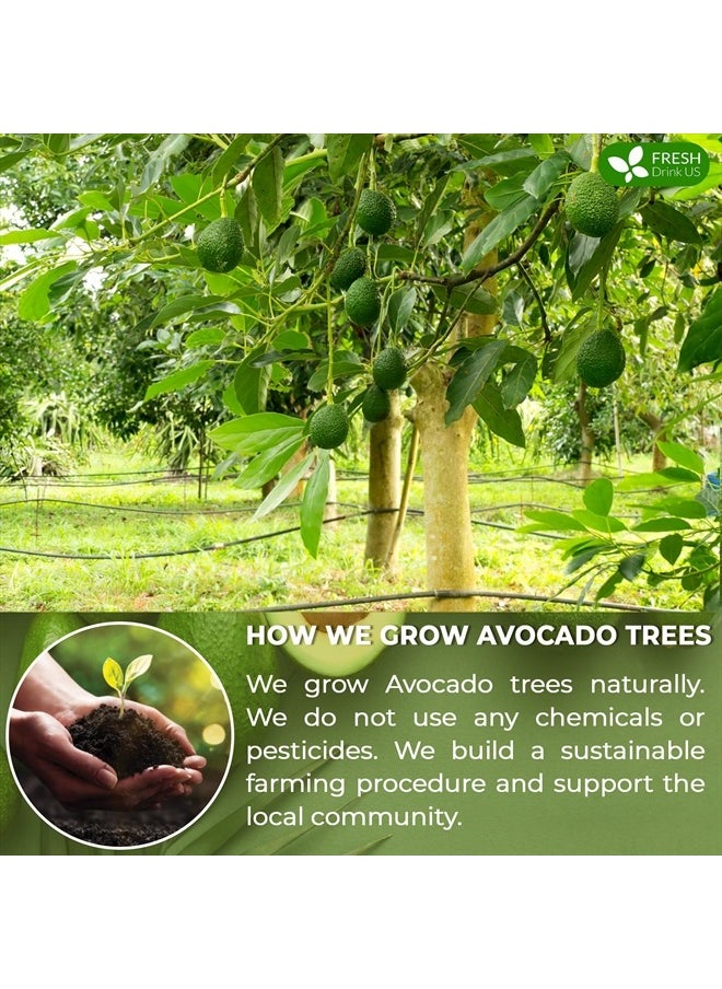 FRESHDRINKUS Avocado Dried Leaves, 100% Natural & Pure form Avocado Leaves, 120 Leaves  - Image 3