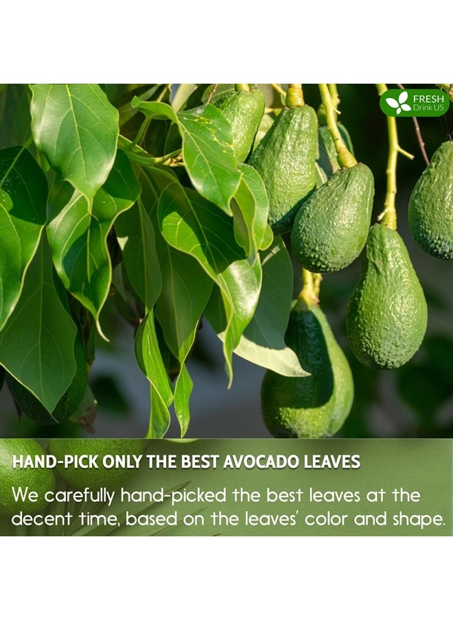 FRESHDRINKUS Avocado Dried Leaves, 100% Natural & Pure form Avocado Leaves, 120 Leaves  - Image 4