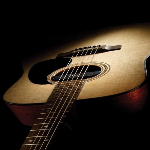 Fishman Blackstack Passive Soundhole Pickup - Image 3