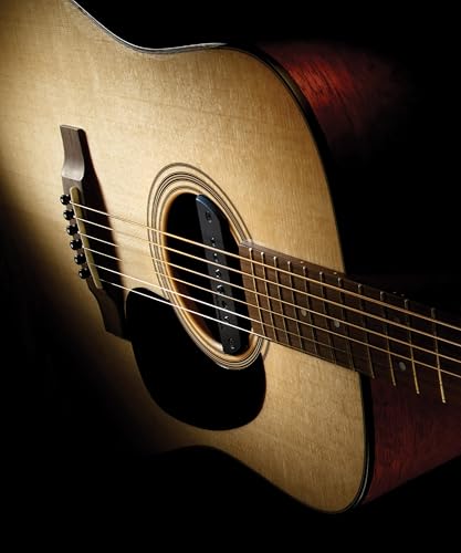 Fishman Blackstack Passive Soundhole Pickup - Image 4
