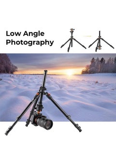 K&F Concept 64 inch/163cm Camera Tripod,Lightweight Travel Outdoor DSLR Tripods with 360 Degree Ball Head Load Capacity 8kg/17.6lbs,Cellphone Clip for Smartphone Live Streaming Vlog K234A0+BH-28L  - Image 3
