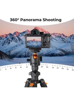 K&F Concept 64 inch/163cm Camera Tripod,Lightweight Travel Outdoor DSLR Tripods with 360 Degree Ball Head Load Capacity 8kg/17.6lbs,Cellphone Clip for Smartphone Live Streaming Vlog K234A0+BH-28L  - Image 2