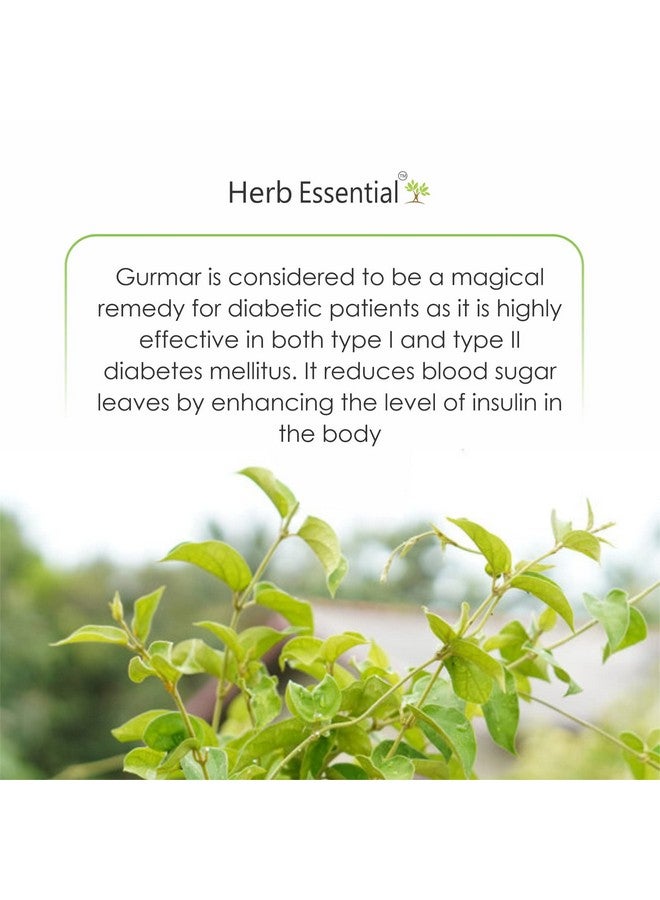 Herb Essential 100% Organic Gudmar Gymnema Leaf Powder 100g (3.52 oz), Natural Gymnema Leaf Ayurvedic Herbal Supplement, Non-GMO, Vegan & Paraben-Free - Image 2