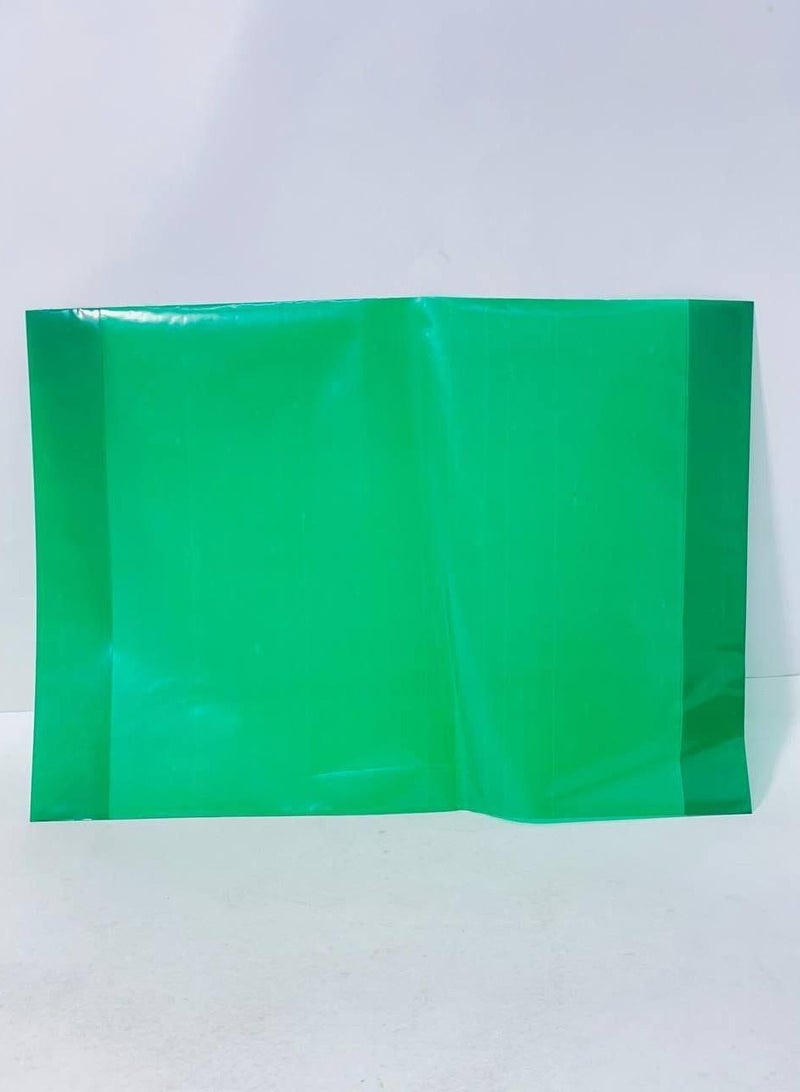 بريما جلاد الكشكول الكبيراللميع  الجلاد البلاستيك بجراب  الكيس : ١٠ جلدات   غلاف كتاب بريما لوكس اخضر - Image 2