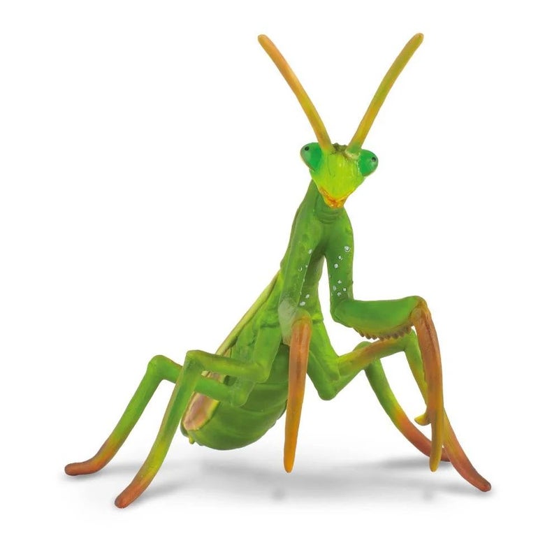 Collecta - Praying Mantis - 88351