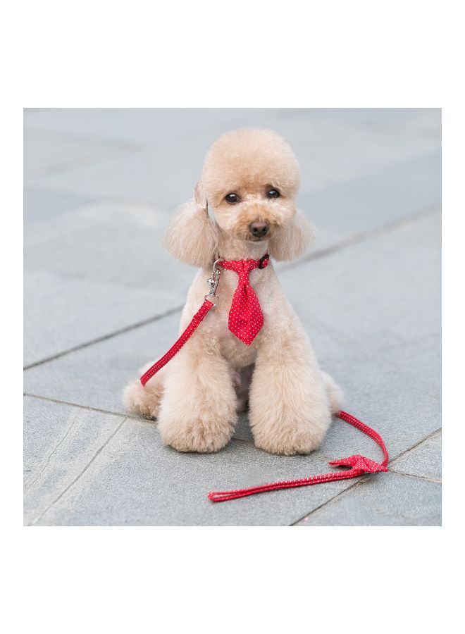 NIBEMINENT Cloth Art Dog Collar With Belt Red/White - Image 4