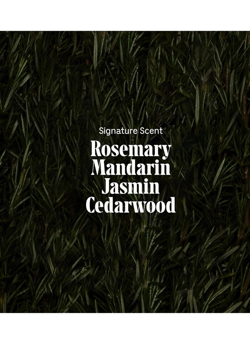 Necessaire Nécessaire Rosemary Shampoo For Women and Men. Rosemary Oil, Ceramides + Proteins For Stronger Hair. Good for All Hair Types/Textures. 250 ml / 8.4 fl oz  - Image 2