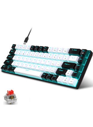 Black White 68key