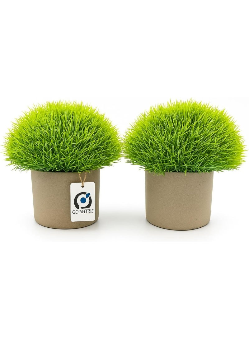 جوإشتري نبات أخضر صناعي صغير من GOISHTRIE مع وعاء من الطين الرمادي، قطعة ديكورية صغيرة مزيفة للمنزل والمكتب والحمام وطاولة المطبخ (عبوة من قطعتين) - Image 4