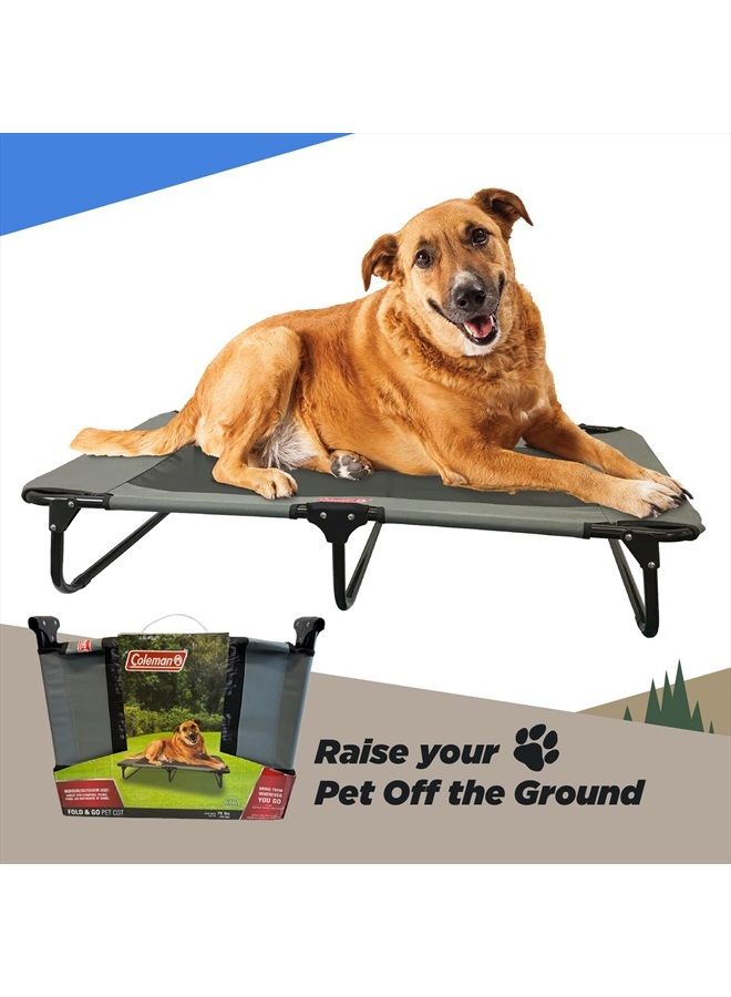 Coleman Elevated Folding Dog Cot, Large, 24" x 42", Gray - Image 2