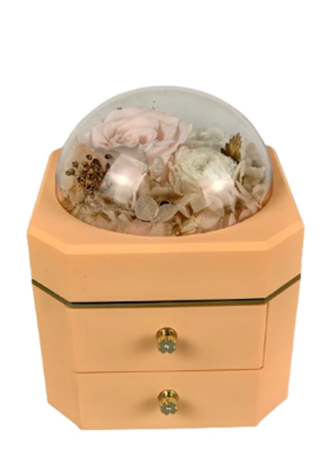 wardi Peach Infinity Box