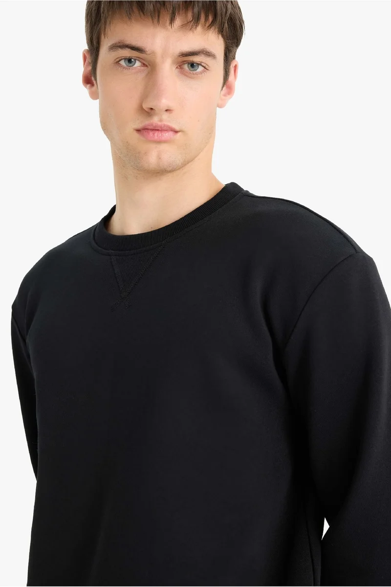 ديفاكتو Regular Fit Crew Neck Basic Thick Sweatshirt