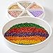 Odoorgames Round Sensory Bin with Lid Large 169 Sealable 6 Removable Storage Dividers Sensory Tray for Toddler Play and Educational Activities - Image 3