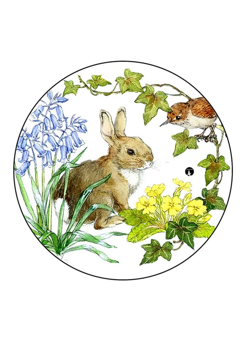 RKN Rabbit Printed Pin Multicolour - Image 2