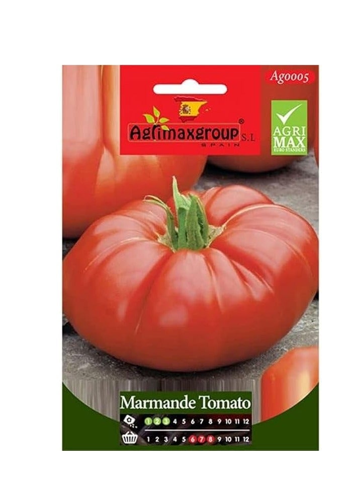 Generic Marmande Tomato Premium Quality Seeds by Agrimaxgroup®"Garden Care" 