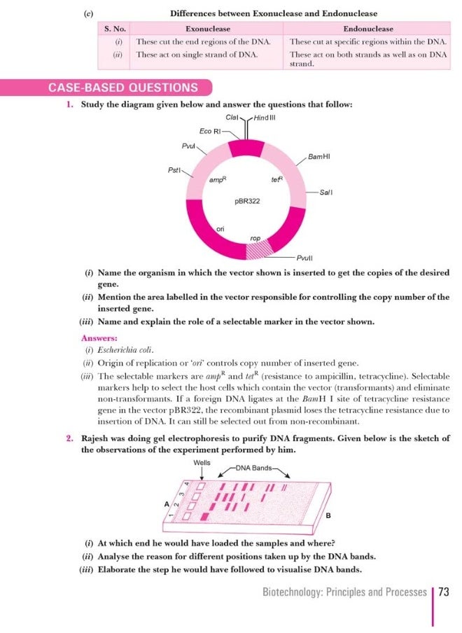 null - Xam idea Class 12 Biology Book For CBSE Term 2 Exam (2021-2022) With New Pattern Including Basic Concepts, NCERT Questions and Practice Questions - Image 1