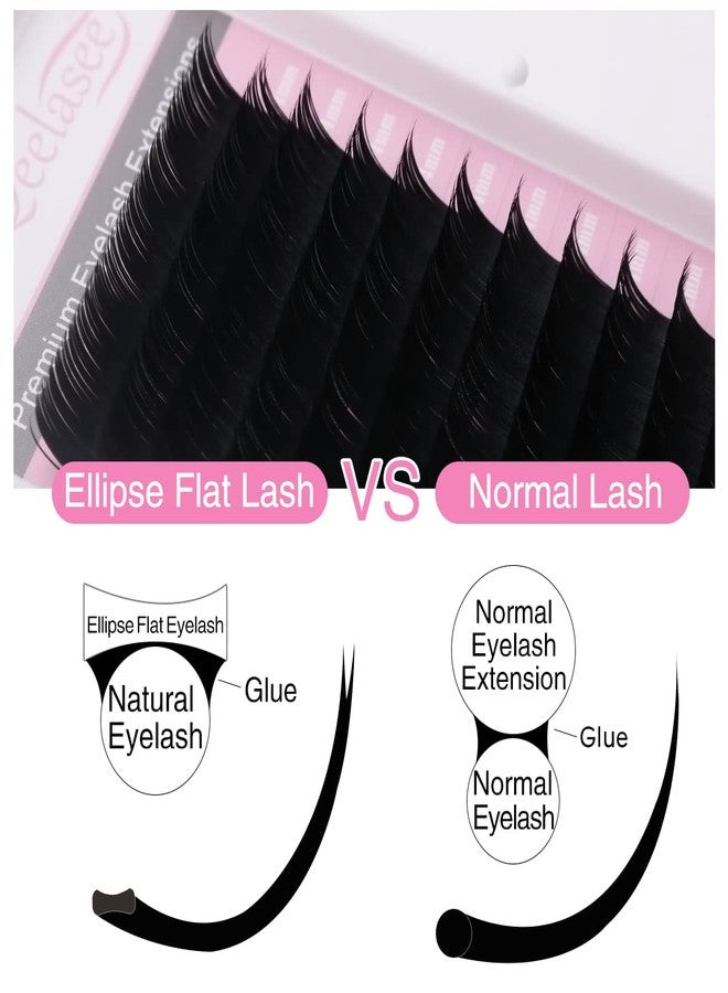 Qeelasee Ellipse Eyelash Extension 0.20mm D Curl 14mm Flat Black Mink Fur False Eyelashes 1 Count - Image 2