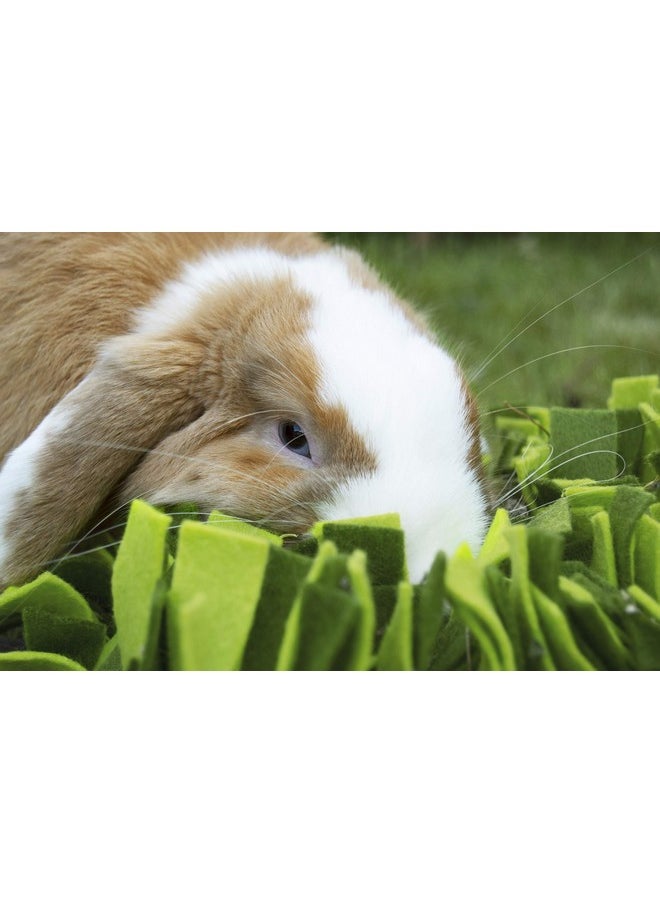 Rosewood Rosewood Snuffle Forage MAT for Small Animals  - Image 5