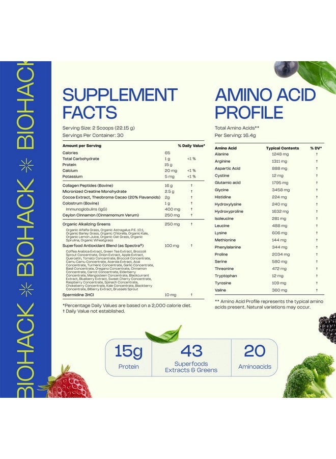 LevelUp Biohack Ageless: Colostrum Collagen Superfoods Antioxidants Spermidine Amino Acids Creatine for Women and Men, Total Body Rejuvenation (Dark Chocolate Cinnamon) - Image 2