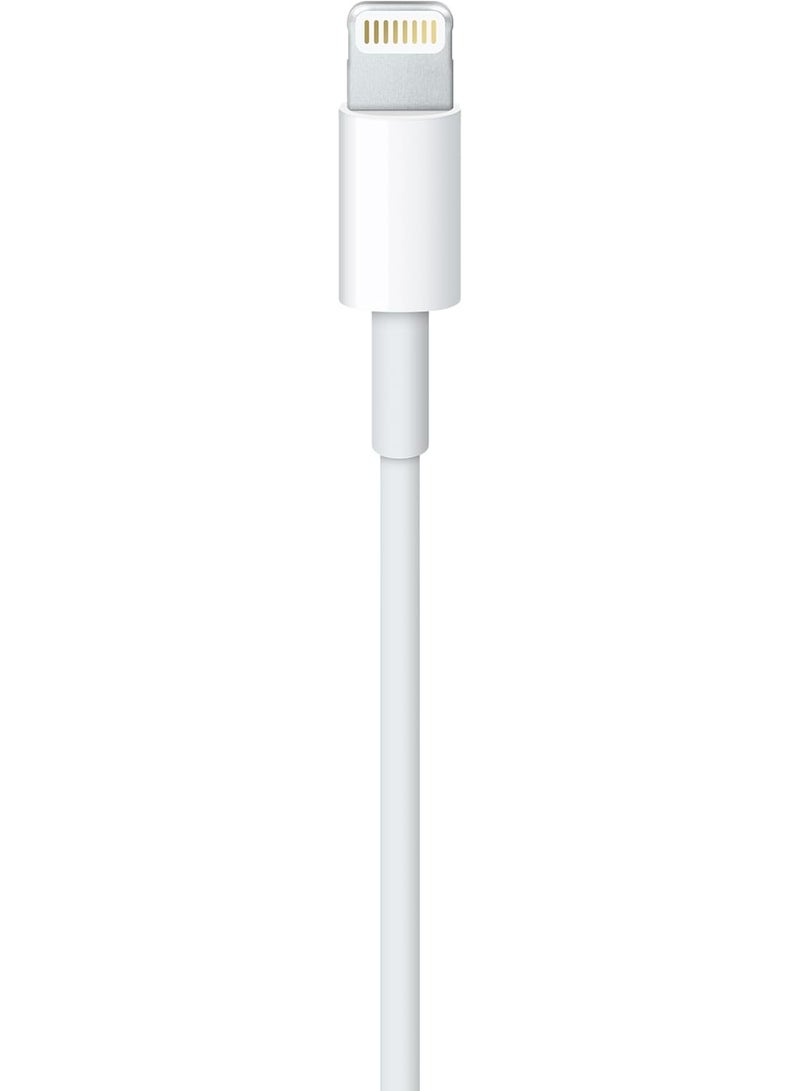 كابل شحن ومزامنة أبيض 1 متر من Lightning إلى USB-A متوافق مع آيفون - Image 3