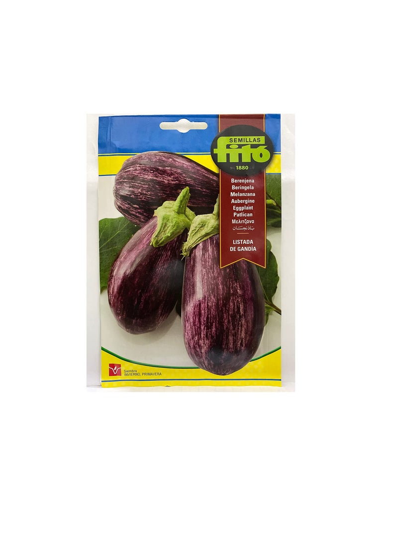 Fito - FITO EGGPLANT SEEDS Net weight 5 grams - Image 1