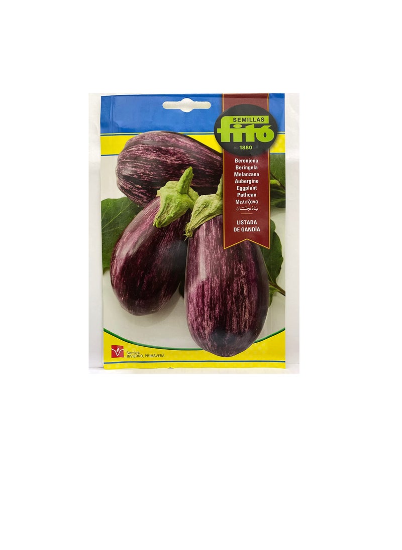 Fito - FITO EGGPLANT SEEDS Net weight 5 grams - Image 1