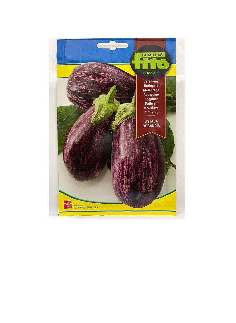 FITO EGGPLANT SEEDS Net weight 5 grams - pzsku/Z42C462C132CAFDA80372Z/45/_/1662529977/e61faf33-2245-4838-83d6-d14937142f4e