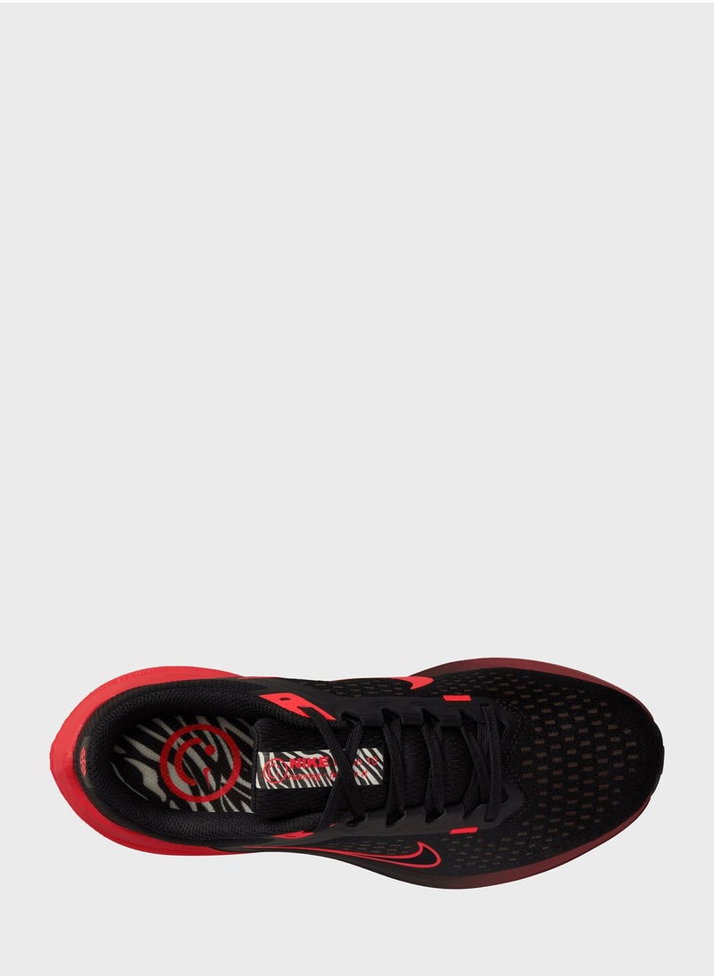 Nike - Air Winflo 10 - Image 1
