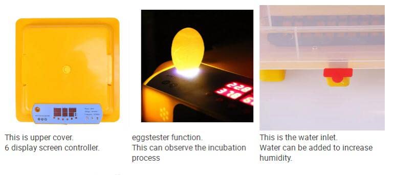 Generic HHD 48 Hatching Eggs Chicken Duck Pigeon Quail Automatic Egg Hatchery Machine Egg Incubator  - Image 4