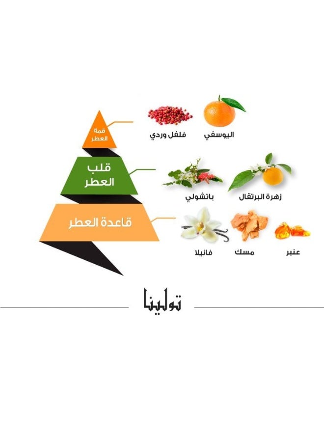  Al Majed Oud Tauleena Perfume - 75 ml - Image 4