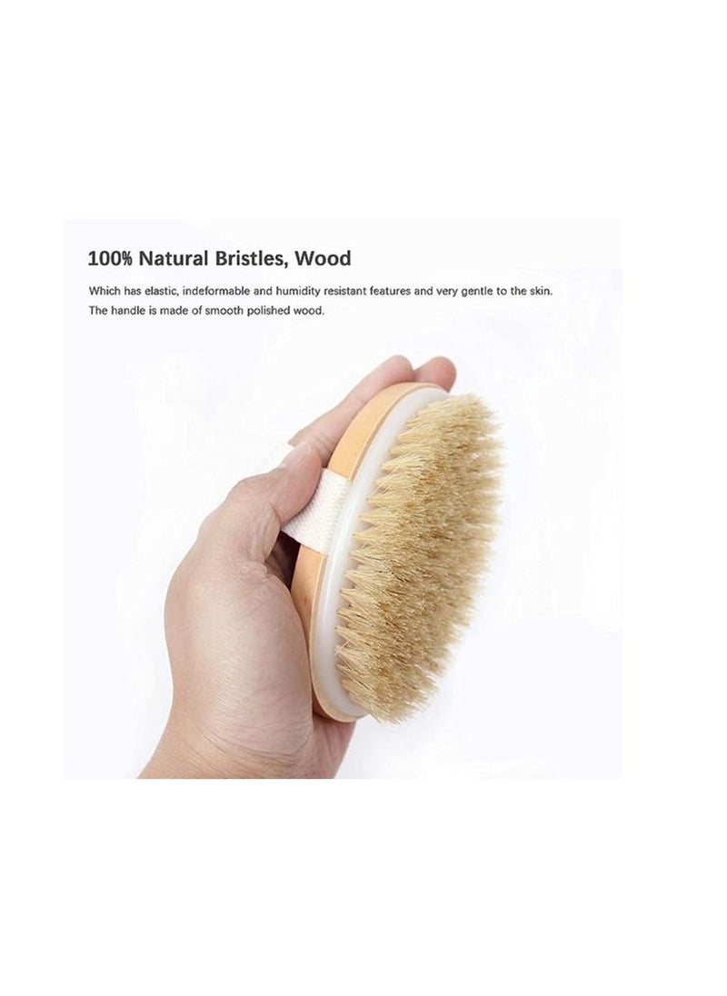 ORiTi Dry Brushing Body Brush Set of 2, Dry Skin Exfoliating Brush, Long Handle Back Scrubber for Shower, Dry Brush for Cellulite and Massage, Improve Blood Circulation - pzsku/Z42C75F2897EFCFFAD79BZ/45/_/1692189030/b55c442b-b7d1-47c6-963a-873b2df2bd73