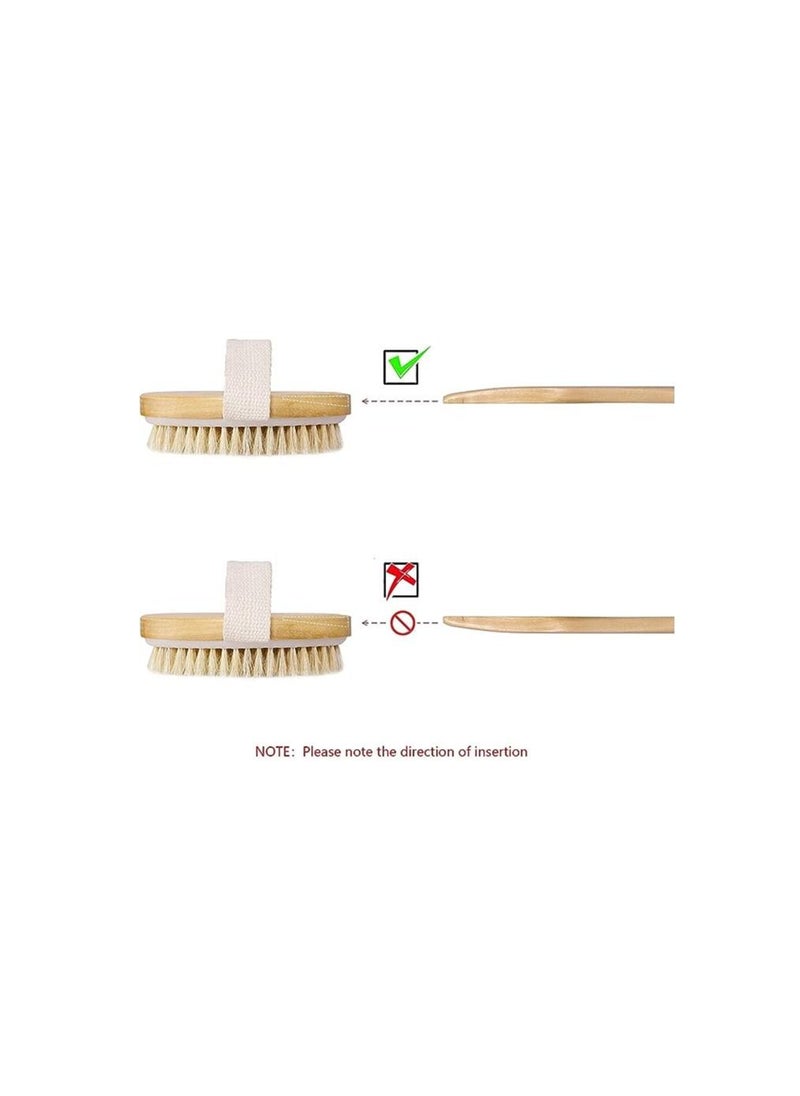 ORiTi Dry Brushing Body Brush Set of 2, Dry Skin Exfoliating Brush, Long Handle Back Scrubber for Shower, Dry Brush for Cellulite and Massage, Improve Blood Circulation - pzsku/Z42C75F2897EFCFFAD79BZ/45/_/1692189031/2f046daf-ab53-4e10-87c5-294338340908