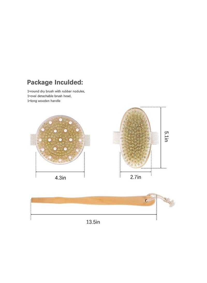 ORiTi Dry Brushing Body Brush Set of 2, Dry Skin Exfoliating Brush, Long Handle Back Scrubber for Shower, Dry Brush for Cellulite and Massage, Improve Blood Circulation - pzsku/Z42C75F2897EFCFFAD79BZ/45/_/1692189031/f320c794-898b-48a0-8246-8af84a042667