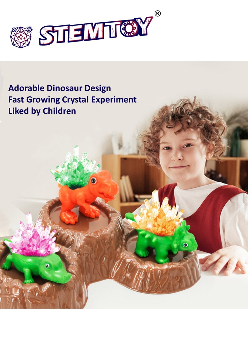 STEMTOY Crystal Growing Kit for Kids – Grow 4 Vibrant Colored Crystal Dinosaurs, Easy DIY Science Experiment Kit, Creative STEM Learning and Educational Toy & Gift for Boys & Girls Ages 8+ - Image 3