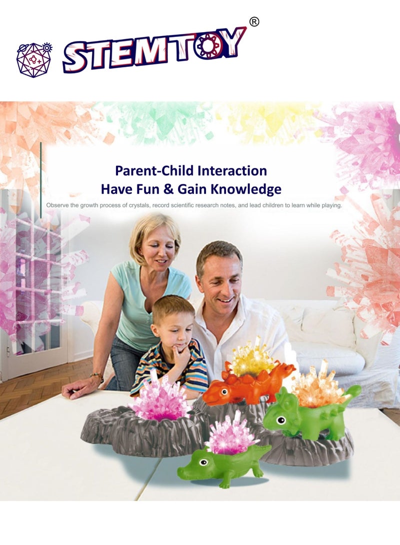 STEMTOY Crystal Growing Kit for Kids – Grow 4 Vibrant Colored Crystal Dinosaurs, Easy DIY Science Experiment Kit, Creative STEM Learning and Educational Toy & Gift for Boys & Girls Ages 8+ - Image 4