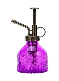 Spaceshoop Glass Plant Mister Spray Bottle, 6.5" Tall Vintage Plant Spritzer Watering Can, Succulent Watering Bottle with Top Pump, Small Plant Sprayer Mister for Indoor Outdoor House Plant  - Image 1