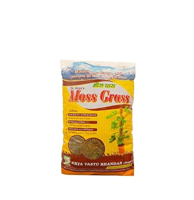 DR ARYA Natural Dried Moss Grass Preserved For Pots With The Nice Green Appearance For Home and Garden - 2 KG - Image 4