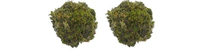 DR ARYA Natural Dried Moss Grass Preserved For Pots With The Nice Green Appearance For Home and Garden - 2 KG - Image 1