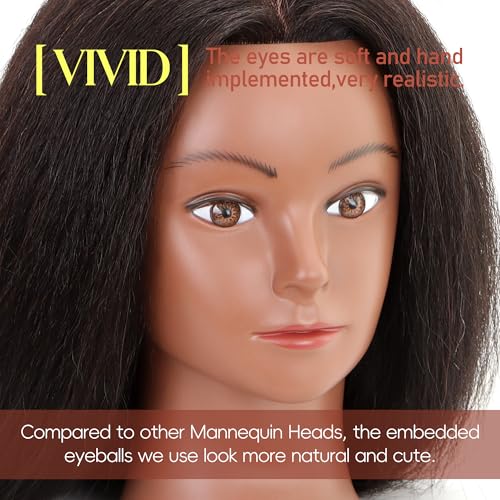 YODIDI Mannequin Head with 100 Human Hair Manikin Head Human Hair Cosmetology Doll Head for Hair Styling Hairdresser Practice Braiding with Table Clamp Stand and Tools 16 inch tripod - Image 3