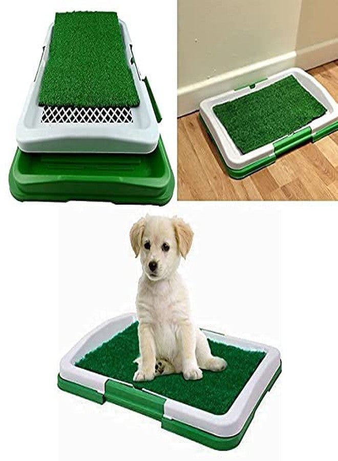 Mishrit Indoor Dog Potty Grass Pad||Puppy Potty Training Artificial Grass Mats||Dog Fake Grass Pee Pad with Tray||Reusable 3 Layered Dog Potty Trainer||Easy to Clean(Pack of 1). - Image 5