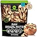NUT CRAVINGS  Raw Brazil Nuts Unsalted No Shell Whole 32oz  2 LB Bulk Nuts Packed Fresh in Resealable Bag  Kosher Healthy Snack Food Assortments - Image 2