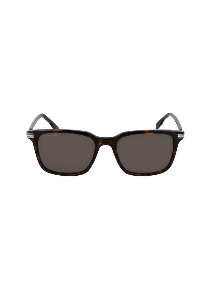 LACOSTE FULL RIM METAL ACETATE LACOSTE SUNS L6035S 5318 (230) DARK HAVANA - Image 2