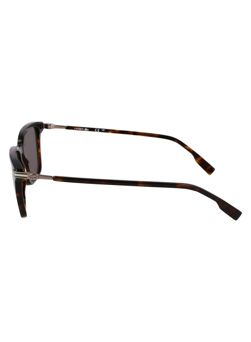 LACOSTE FULL RIM METAL ACETATE LACOSTE SUNS L6035S 5318 (230) DARK HAVANA - Image 4